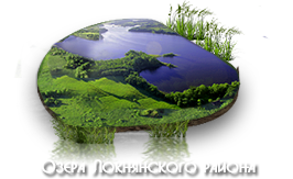 Озера Локнянского района