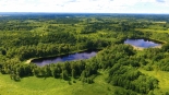 Массив 167 Га с озером Пестынское в Псковской области